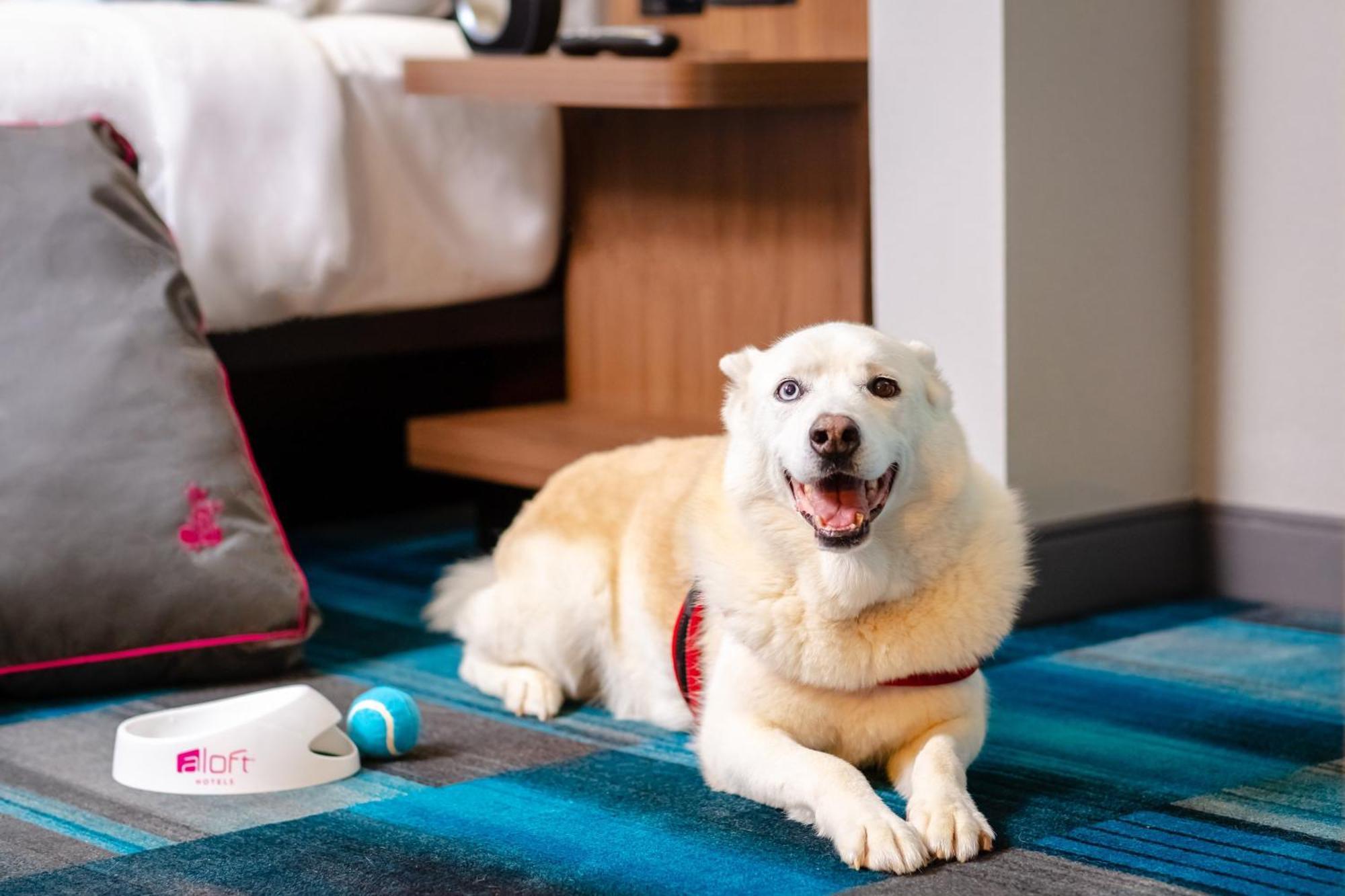 Hotel Aloft Columbia Harbison Zewnętrze zdjęcie